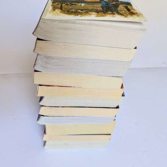 Harlequin Romantic Suspense Love Inspired Inspirational Set of 11 Mixed Small - Picture 6 of 7